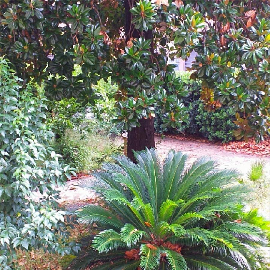 Ferienwohnung Un Giardino A Due Passi Dal Mare La Spezia Exterior foto